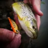 Pesce nuotatore DUO Spearhead ryuki 45 S