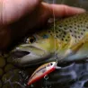 Pesce nuotatore DUO Spearhead ryuki 60 S