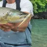Pesce nuotatore DUO Spearhead ryuki 80 S