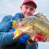 Esca morbida HYPERLASTICS Curlyminn round jig head 6 21g
