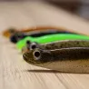 Leurre souple MEGABASS Hazedong shad 5.2
