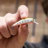 Pesce nuotatore SMITH D Compact FES 45