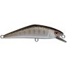 Poisson nageur SMITH D Contact 50 SP