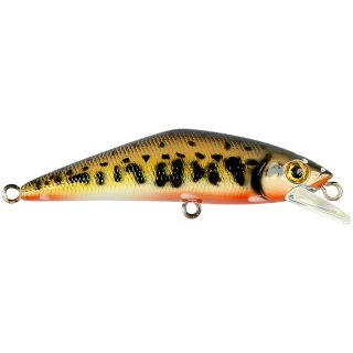 Poisson nageur SMITH D Contact 50 SP