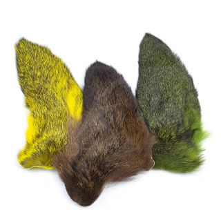 Orecchie di capriolo tinte