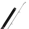 Canna surfcasting YUKI Saikou light DSC