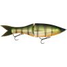 Swimbait GRASSROOTS Grand edge 190 SF