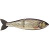 Swimbait SWIMBAIT REPUBLIC Glideway 126 F