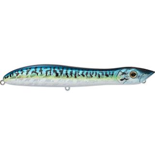 Pesce nuotatore XORUS Patchinko 125