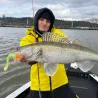 Soft bait MADNESS Bakuree shad 80