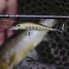 Pesce natante DUO Realis rozante 63 SP