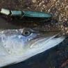 Swimbait MADNESS Balam 200
