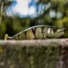 Swimbait GAN CRAFT Jointed claw 178 F