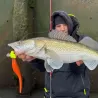 Leurre souple MADNESS Finess kb 8