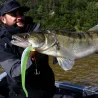 Soft bait MADNESS Mother worm 10