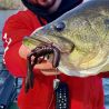 Leurre souple MEGABASS Bottle shrimp 4