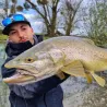 Esca morbida MEGABASS Dark sleeper 2.4 7g