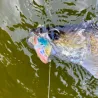 Soft bait MEGABASS Dark sleeper 3 14g