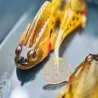 Esca morbida MEGABASS Dark sleeper 3 14g