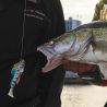 Esca morbida MEGABASS Dark sleeper 4.5 28g