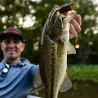 Esca morbida MEGABASS Gabarin