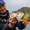 Esca morbida MEGABASS Hazedong shad 3