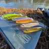 Esca morbida MEGABASS Hazedong shad 4.2