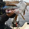 Swimbait MEGABASS I Slide 187 R SW S