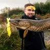 Swimbait MEGABASS I Slide 187 R Intermediate