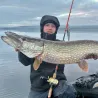 Esca morbida MEGABASS Mag draft 10