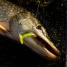 Esca morbida MEGABASS Mag draft 8