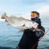 Soft bait MEGABASS Sling shad 7