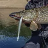 Soft bait MEGABASS Sling shad 7