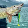 Soft bait MEGABASS Spark shad 7