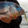 Leurre souple MEGABASS Giant X layer super
