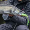 Soft bait MEGABASS X Layer curly 5