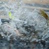 Chatterbait MEGABASS Wild header 28g