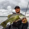 Soft bait RAID JAPAN Battle hog 3.8