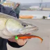 Esca morbida RAID JAPAN Full swing 5