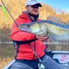 Leurre souple SAWAMURA One up shad 6