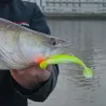 Leurre souple SAWAMURA One up shad 6