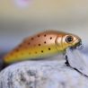 Pesce artificiale TACKLEHOUSE Buffet FS 38