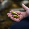Pesce natante TACKLE HOUSE Elfin crank