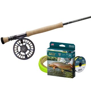 Pack premium SAGE R8 Core 10' coda 6 + SAGE Arbor XL