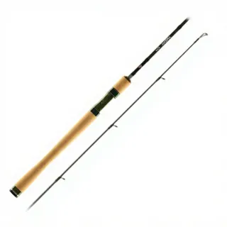 Canna spinning FAVORITE Arena River