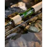 Canna spinning FAVORITE Arena River