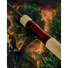 Canna spinning FAVORITE Arena Stream