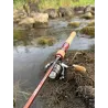 Canna spinning FAVORITE Arena Stream