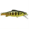 Pesce nuotatore VALKEIN Raxma 55 S