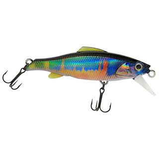 Poisson nageur VALKEIN Raxma 55 S